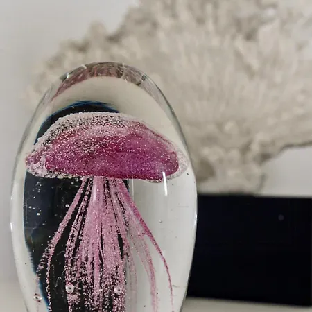 Semesterbostad With Heath Views In Old *